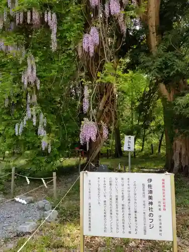 伊佐須美神社の自然