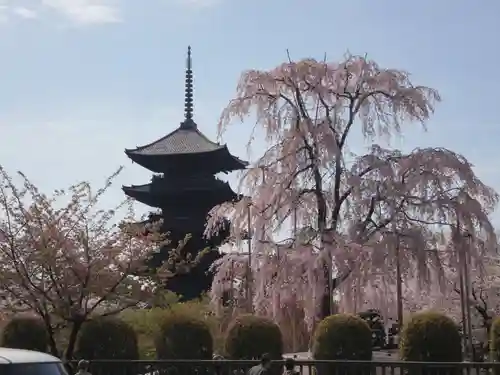 東寺（教王護国寺）の庭園