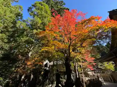 高野山金剛峯寺(和歌山県)