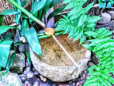 洲嵜神社の手水舎