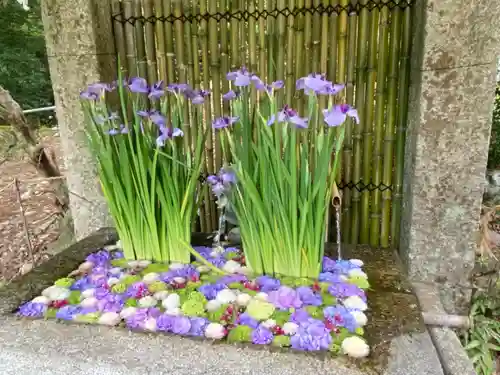 日吉大社の手水舎