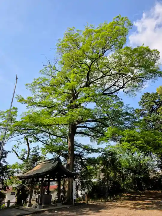 八幡神社(東京都)