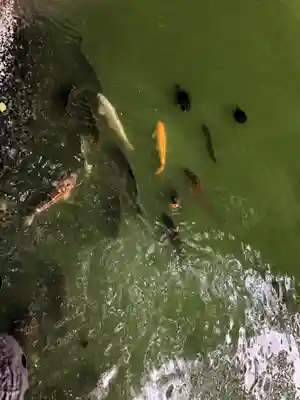 善寶寺(山形県)