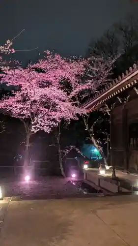 知恩院(京都府)