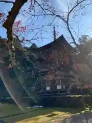 西明寺の建物その他