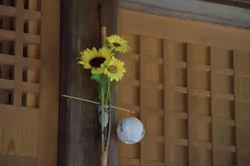 三春大神宮の本殿・本堂