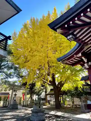 小金八坂神社(千葉県)