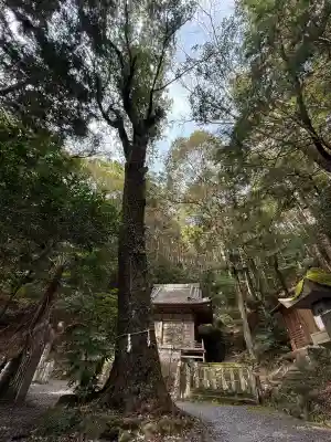 八幡神社松平東照宮の{uncategorized: "未分類", other: "その他", undefined: "問題あり", building: "その他建物", grave: "お墓", sacred_gate: "鳥居", guardian: "狛犬", statue: "像", buddha: "仏像", history: "歴史", nature: "自然", garden: "庭園", animal: "動物", pagoda: "塔", temizu: "手水舎", mountain_gate: "山門・神門", sanctuary: "本殿・本堂", subordinate: "末社・摂社", art: "芸術", scenery: "景色", jizo: "地蔵", ema: "絵馬", goshuin: "御朱印", omikuji: "おみくじ", items: "授与品その他", amulet: "お守り", goshuincho: "御朱印帳", eats: "食事", festival: "お祭り", votive_dance: "神楽", shichigosan: "七五三参", wedding: "結婚式", experience: "体験その他", initially: "初詣", around: "周辺", anti_infection: "感染症対策"}