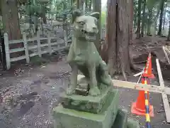 宝登山神社奥宮の狛犬