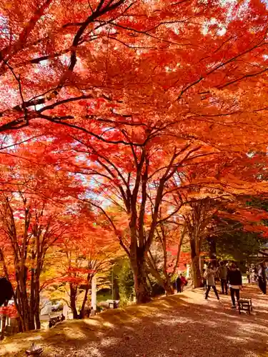 土津神社｜こどもと出世の神さまの景色