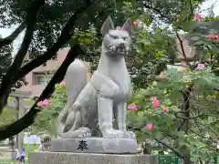 土佐稲荷神社の狛犬