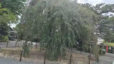 大報恩寺(千本釈迦堂)(京都府)