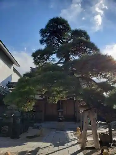 瑞光寺の庭園