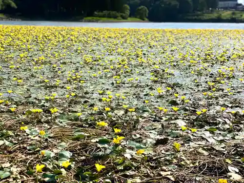 北竜湖弁財天の自然