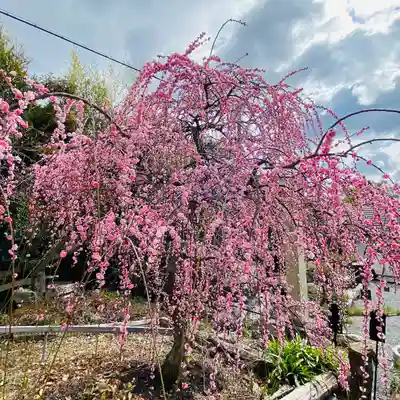 和歌浦天満宮(和歌山県)