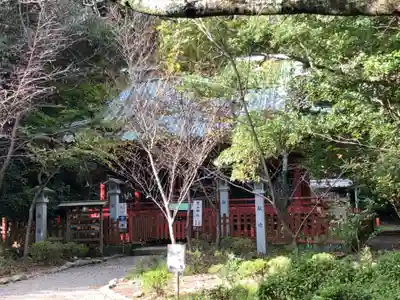 静岡浅間神社(静岡県)