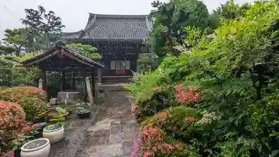 西蓮寺(京都府)