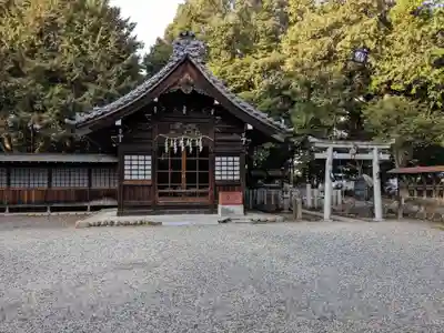 八幡社(柏井町)の本殿・本堂