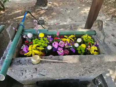 日部神社の{uncategorized: "未分類", other: "その他", undefined: "問題あり", building: "その他建物", grave: "お墓", sacred_gate: "鳥居", guardian: "狛犬", statue: "像", buddha: "仏像", history: "歴史", nature: "自然", garden: "庭園", animal: "動物", pagoda: "塔", temizu: "手水舎", mountain_gate: "山門・神門", sanctuary: "本殿・本堂", subordinate: "末社・摂社", art: "芸術", scenery: "景色", jizo: "地蔵", ema: "絵馬", goshuin: "御朱印", omikuji: "おみくじ", items: "授与品その他", amulet: "お守り", goshuincho: "御朱印帳", eats: "食事", festival: "お祭り", votive_dance: "神楽", shichigosan: "七五三参", wedding: "結婚式", experience: "体験その他", initially: "初詣", around: "周辺", anti_infection: "感染症対策"}
