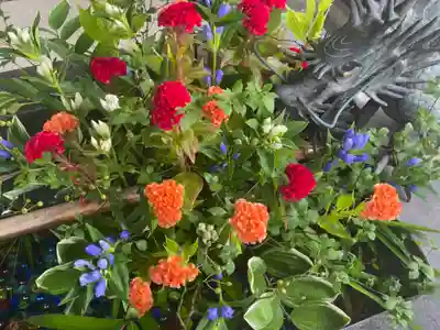 東海市熊野神社の手水舎