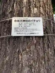 天神社（余坂天神社）の建物その他