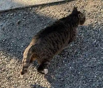 阿邪訶根神社(福島県)