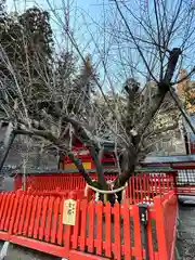 金櫻神社(山梨県)