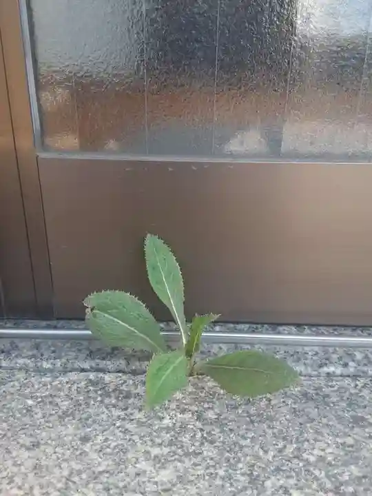 西方山極楽寺(岐阜県)