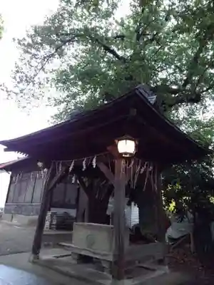 大松氷川神社の手水舎