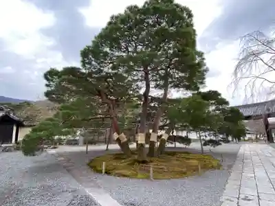 醍醐寺(上醍醐)(京都府)