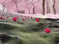 城南宮(京都府)