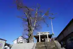 二階堂神社の建物その他