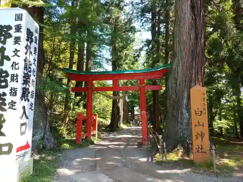 中尊寺(岩手県)