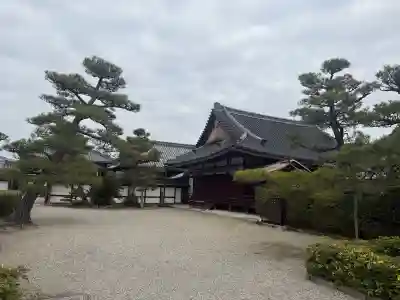中宮寺の{uncategorized: "未分類", other: "その他", undefined: "問題あり", building: "その他建物", grave: "お墓", sacred_gate: "鳥居", guardian: "狛犬", statue: "像", buddha: "仏像", history: "歴史", nature: "自然", garden: "庭園", animal: "動物", pagoda: "塔", temizu: "手水舎", mountain_gate: "山門・神門", sanctuary: "本殿・本堂", subordinate: "末社・摂社", art: "芸術", scenery: "景色", jizo: "地蔵", ema: "絵馬", goshuin: "御朱印", omikuji: "おみくじ", items: "授与品その他", amulet: "お守り", goshuincho: "御朱印帳", eats: "食事", festival: "お祭り", votive_dance: "神楽", shichigosan: "七五三参", wedding: "結婚式", experience: "体験その他", initially: "初詣", around: "周辺", anti_infection: "感染症対策"}