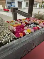 草加神社(埼玉県)