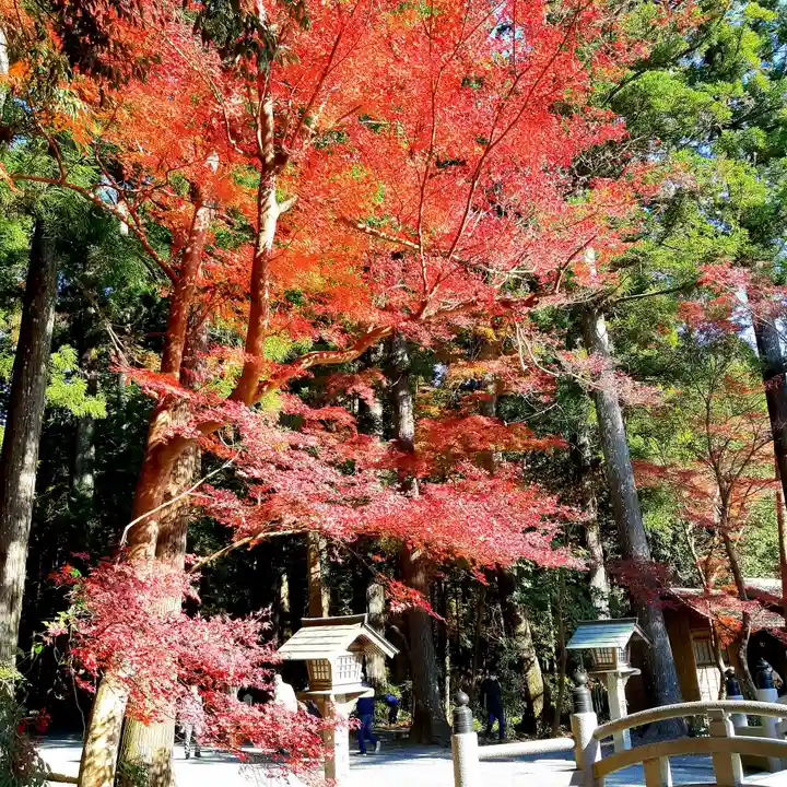 小國神社のその他建物