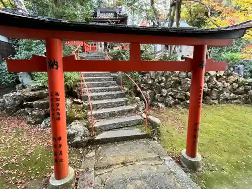 柳谷観音　楊谷寺(京都府)