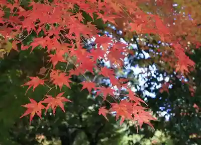 一乗寺(兵庫県)