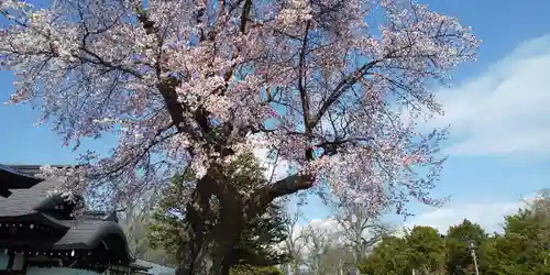 北海道護國神社の自然