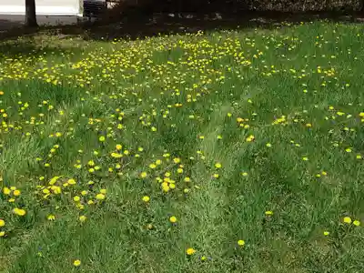 常呂神社(北海道)