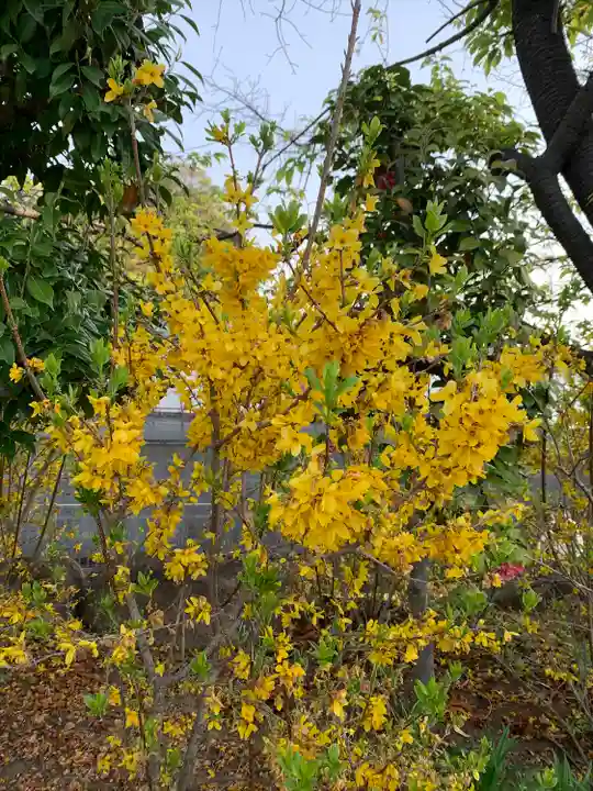 横浜 西方寺(神奈川県)