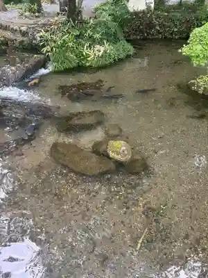 涌釜神社(栃木県)
