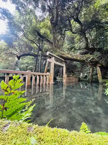 鹿島神宮(茨城県)