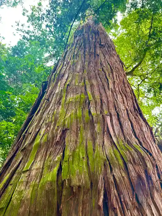 香取神宮(千葉県)