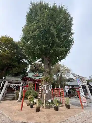川越八幡宮(埼玉県)