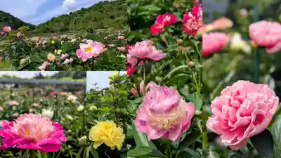 金蛇水神社(宮城県)