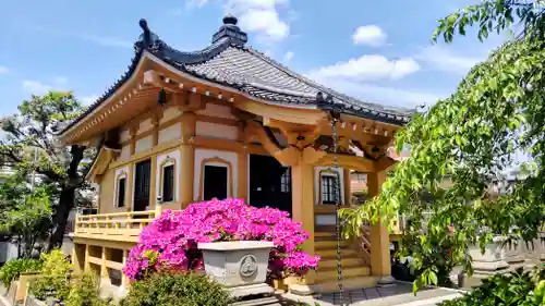 圓照寺(東京都)
