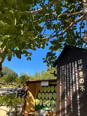 法起院(奈良県)