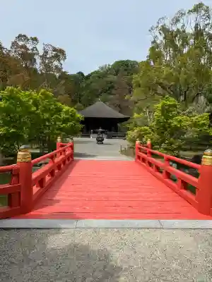 白水阿弥陀堂の{uncategorized: "未分類", other: "その他", undefined: "問題あり", building: "その他建物", grave: "お墓", sacred_gate: "鳥居", guardian: "狛犬", statue: "像", buddha: "仏像", history: "歴史", nature: "自然", garden: "庭園", animal: "動物", pagoda: "塔", temizu: "手水舎", mountain_gate: "山門・神門", sanctuary: "本殿・本堂", subordinate: "末社・摂社", art: "芸術", scenery: "景色", jizo: "地蔵", ema: "絵馬", goshuin: "御朱印", omikuji: "おみくじ", items: "授与品その他", amulet: "お守り", goshuincho: "御朱印帳", eats: "食事", festival: "お祭り", votive_dance: "神楽", shichigosan: "七五三参", wedding: "結婚式", experience: "体験その他", initially: "初詣", around: "周辺", anti_infection: "感染症対策"}