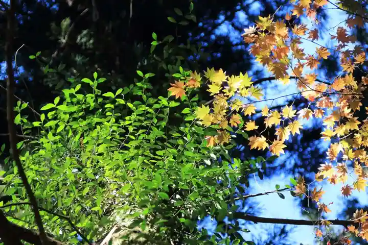 鹿島大神宮の自然